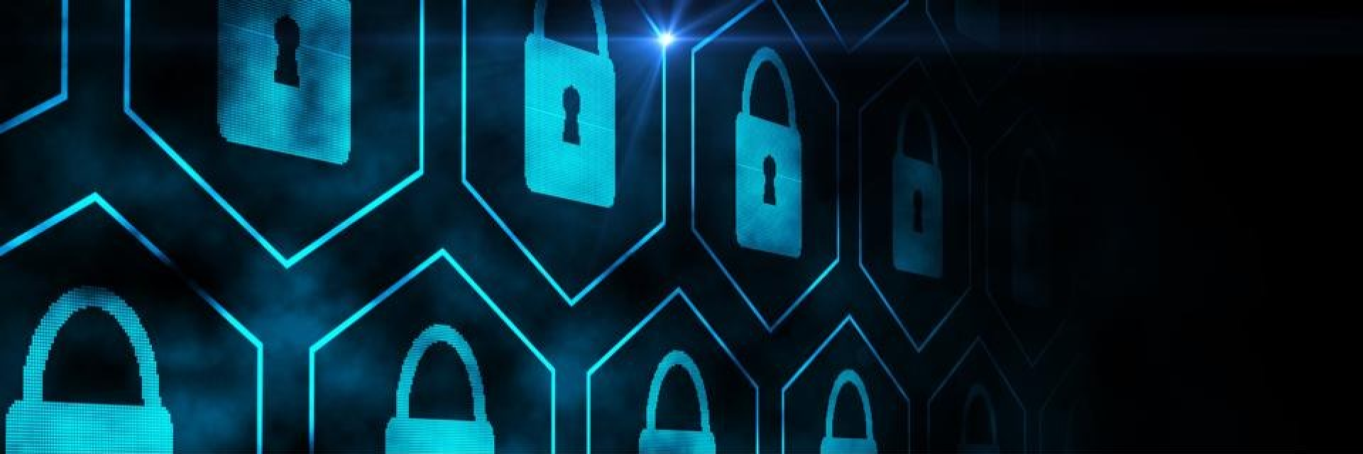 Diamond Escorts Security Header Image